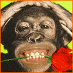 We don't monkey around. Click here for advertising info!